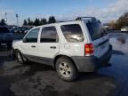 2006 Ford Escape XLT