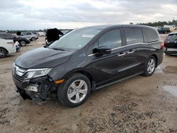 Honda Vehiculos salvage en venta: 2019 Honda Odyssey EXL