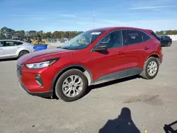 Salvage cars for sale at Dunn, NC auction: 2023 Ford Escape Active