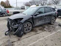 Salvage cars for sale at Moraine, OH auction: 2022 Ford Escape SE