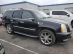 2007 Cadillac Escalade Luxury