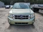 2008 Ford Escape HEV