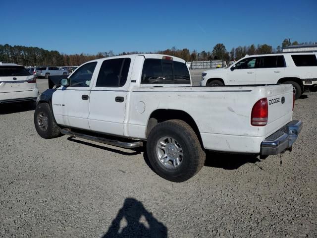 2001 Dodge Dakota Quattro