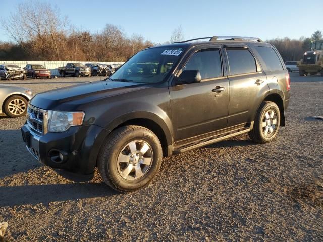 2011 Ford Escape Limited