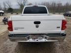 2006 Dodge Dakota Quad SLT