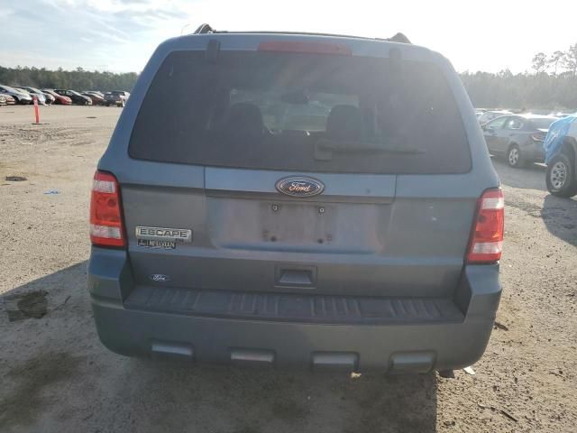 2010 Ford Escape XLT