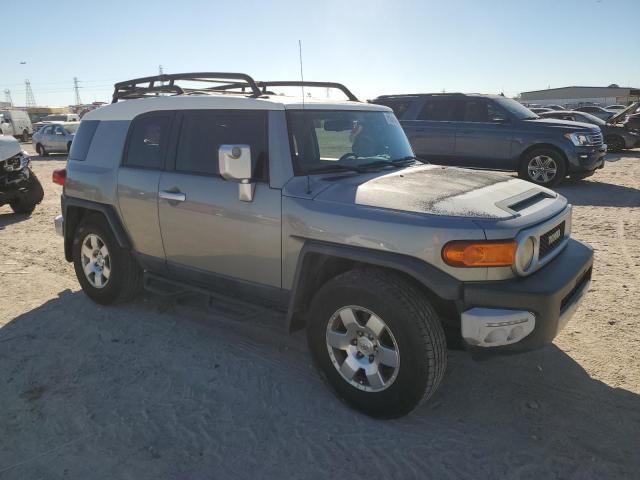 2010 Toyota FJ Cruiser