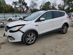 Salvage cars for sale at Hampton, VA auction: 2013 Ford Escape SEL