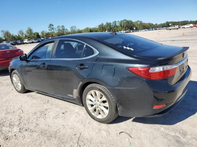 2014 Lexus ES 300H