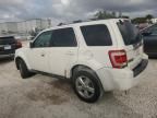 2010 Ford Escape Limited