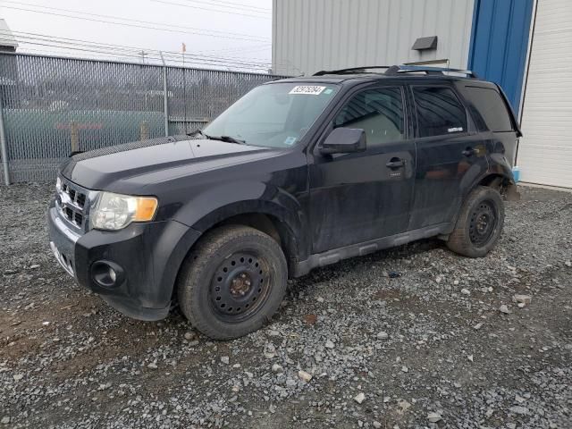 2011 Ford Escape Limited