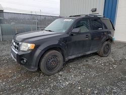 Ford salvage cars for sale: 2011 Ford Escape Limited