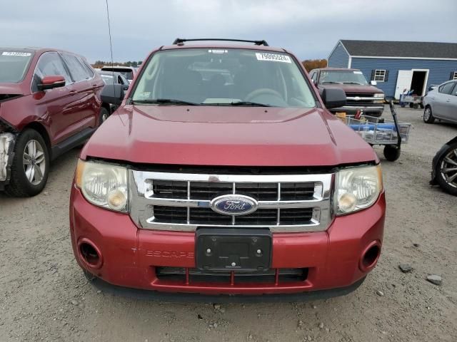 2009 Ford Escape XLT