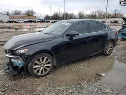 Salvage cars for sale at Columbus, OH auction: 2014 Lexus IS 250