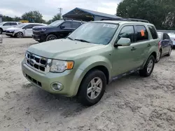 Ford salvage cars for sale: 2008 Ford Escape HEV