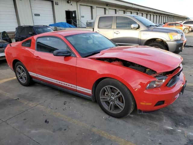 2010 Ford Mustang