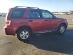 2008 Ford Escape XLT