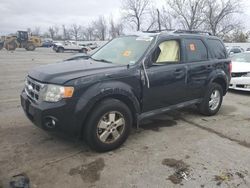 Salvage cars for sale at Bridgeton, MO auction: 2010 Ford Escape XLT