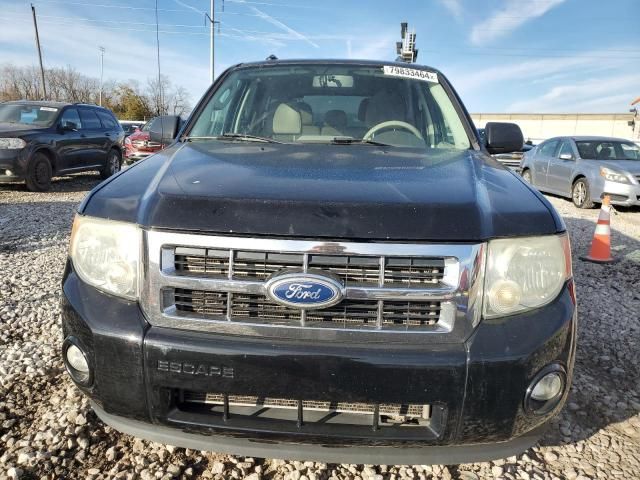 2010 Ford Escape XLT