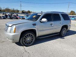 Salvage cars for sale from Copart Lawrenceburg, KY: 2011 Cadillac Escalade Luxury