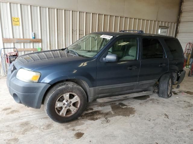 2006 Ford Escape XLT