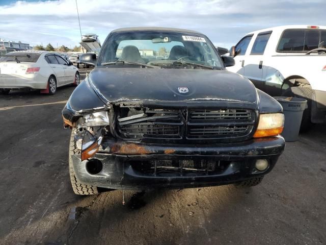 2000 Dodge Dakota