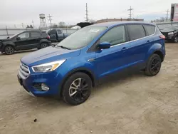 Salvage cars for sale at Chicago Heights, IL auction: 2019 Ford Escape SE