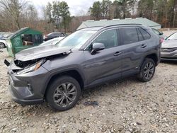 Toyota rav4 xle Premium salvage cars for sale: 2022 Toyota Rav4 XLE Premium