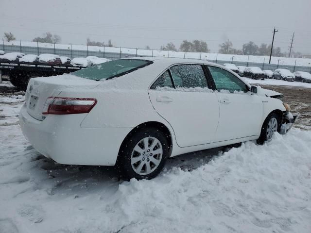 2008 Toyota Camry Hybrid