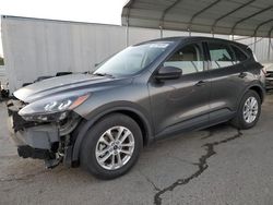 Salvage cars for sale at Fresno, CA auction: 2020 Ford Escape S