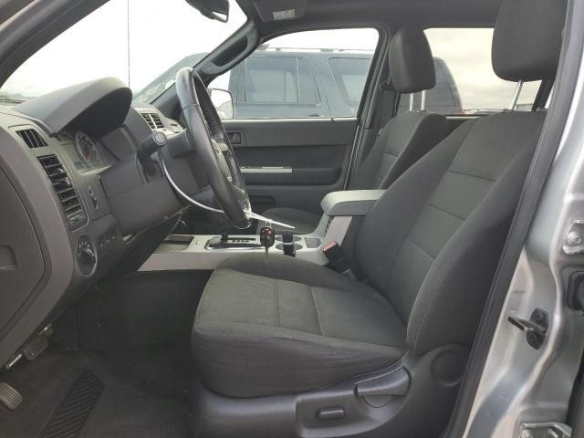 2009 Ford Escape XLT