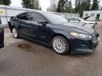 2014 Ford Fusion SE Hybrid