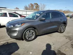 Salvage SUVs for sale at auction: 2021 Ford Escape SEL