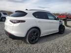 2024 Alfa Romeo Stelvio TI