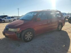 Vehiculos salvage en venta de Copart Andrews, TX: 2004 Honda Odyssey EXL