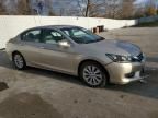 2013 Honda Accord EX