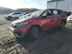 Salvage cars for sale at Windsor, NJ auction: 2021 Honda CR-V EX