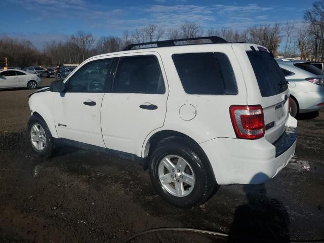 2009 Ford Escape Hybrid