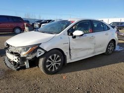 Toyota Corolla le salvage cars for sale: 2020 Toyota Corolla LE