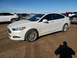 Ford Fusion se Vehiculos salvage en venta: 2013 Ford Fusion SE