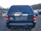 2008 Ford Escape Limited