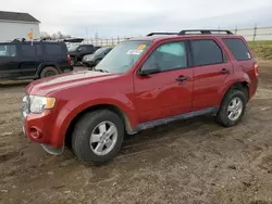 Carros salvage a la venta en subasta: 2011 Ford Escape XLT