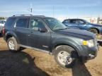 2008 Ford Escape HEV