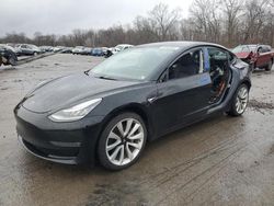 Salvage cars for sale at Ellwood City, PA auction: 2019 Tesla Model 3