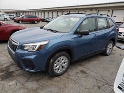 Salvage cars for sale at Louisville, KY auction: 2019 Subaru Forester