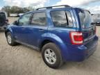 2008 Ford Escape HEV