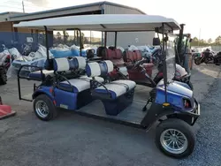 Salvage cars for sale from Copart Riverview, FL: 2018 Golf Golf Cart