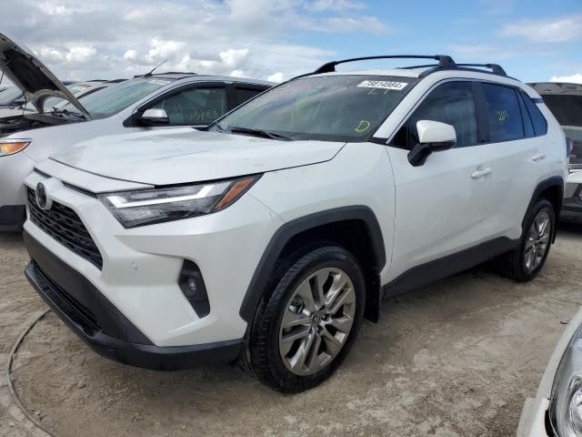 2024 Toyota Rav4 XLE Premium