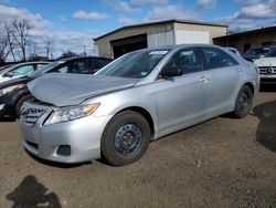 Toyota salvage cars for sale: 2010 Toyota Camry Base