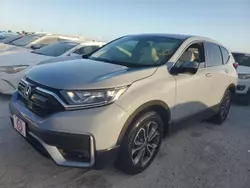 Salvage cars for sale at Riverview, FL auction: 2020 Honda CR-V EX